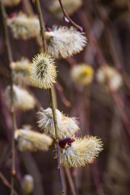 Прикрепленное изображение: t-dyyYThkOA.jpg